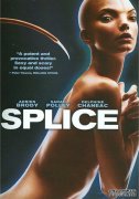 ӽDVD